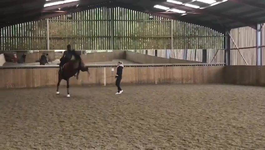 The Team GB Olympian is 'deeply ashamed' of a video showing her whipping a horse