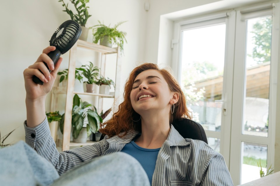 A homeowner shared the item she swears by to keep her home cool during the summer months (stock image)