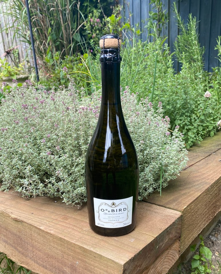 Oddbird Spumante Non-Alcoholic Sparkling Wine