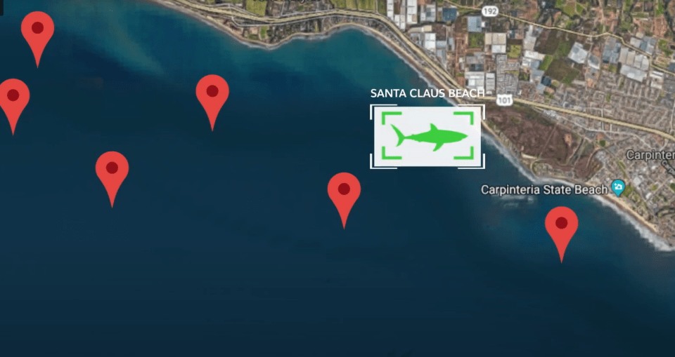 A map of shark locations is shared with those who signed up