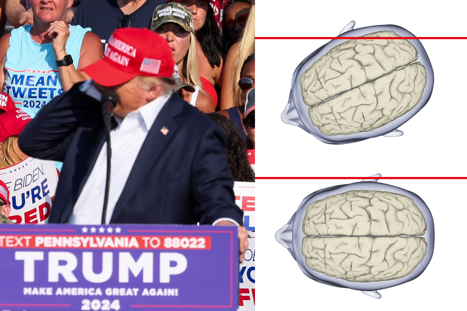 Where the bullet would have passed through Trump's head - had he not turned at the last second