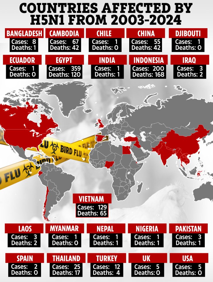 Human cases of H5N1 since reported since 2003