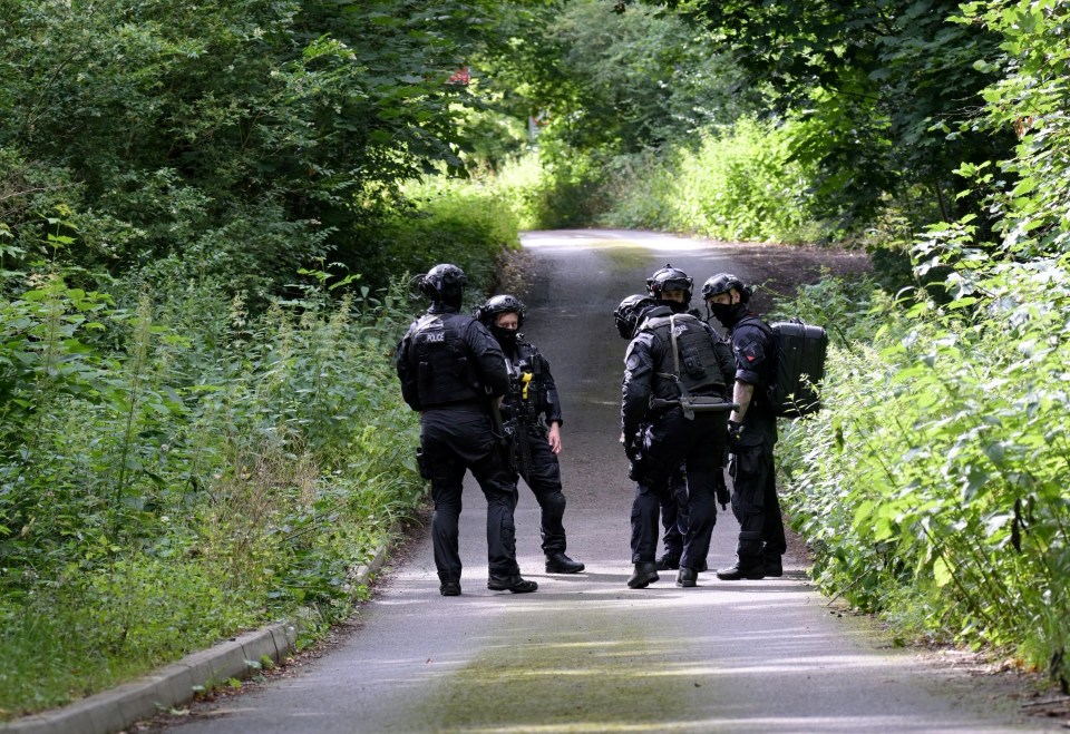 a group of police officers are walking down a road