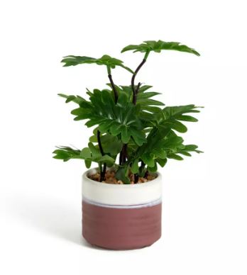 This artificial plant has been discounted to £3.60