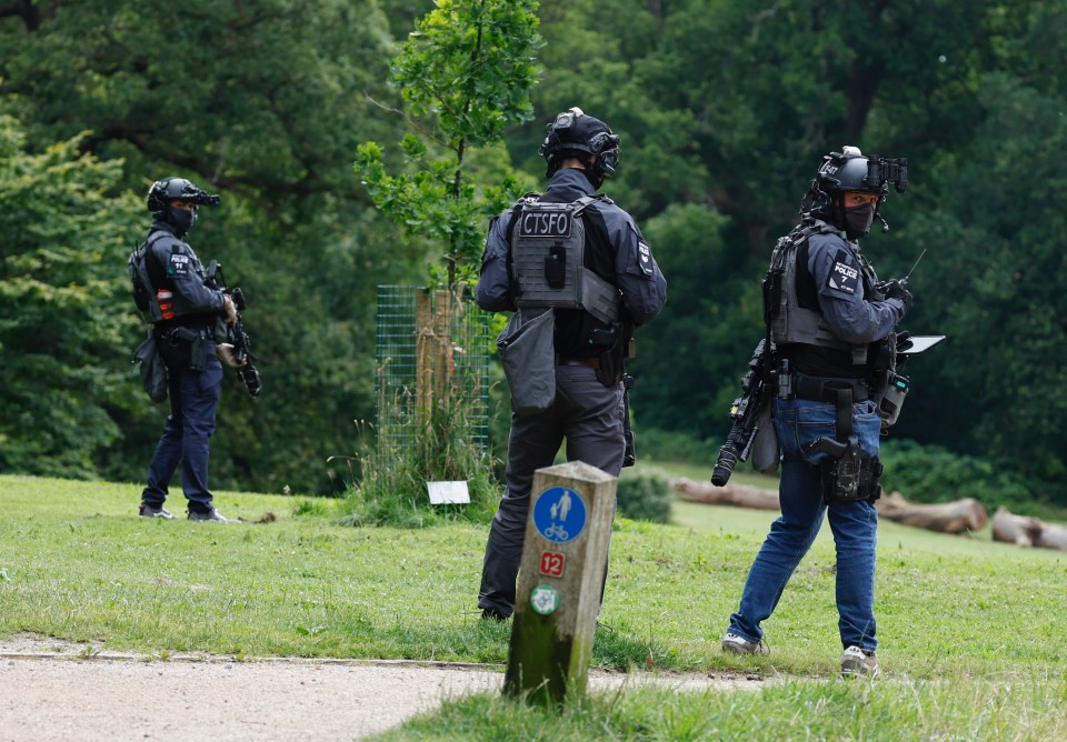 Armed police search Hilly Fields Park in Enfield