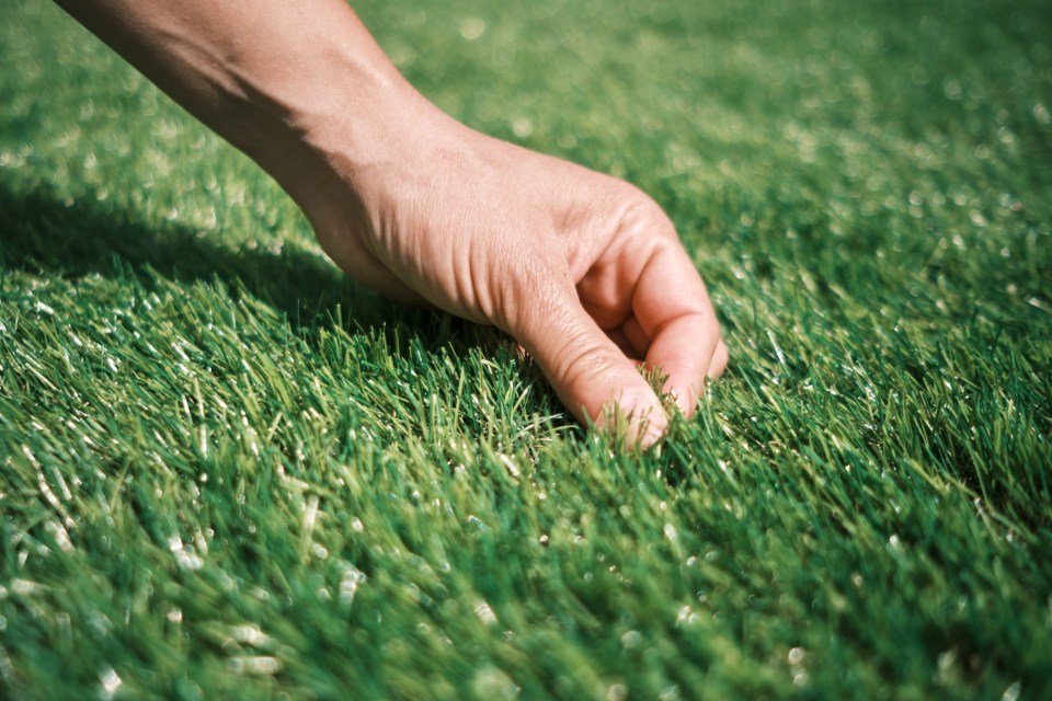 Artificial lawns are terrible for the environment and ecosystems