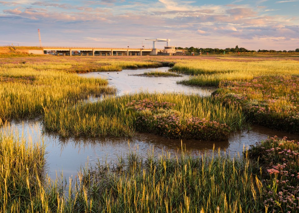 Breydon Water is a 10 minute drive away from Great Yarmouth, and there are beautiful views to be enjoyed across the marshes