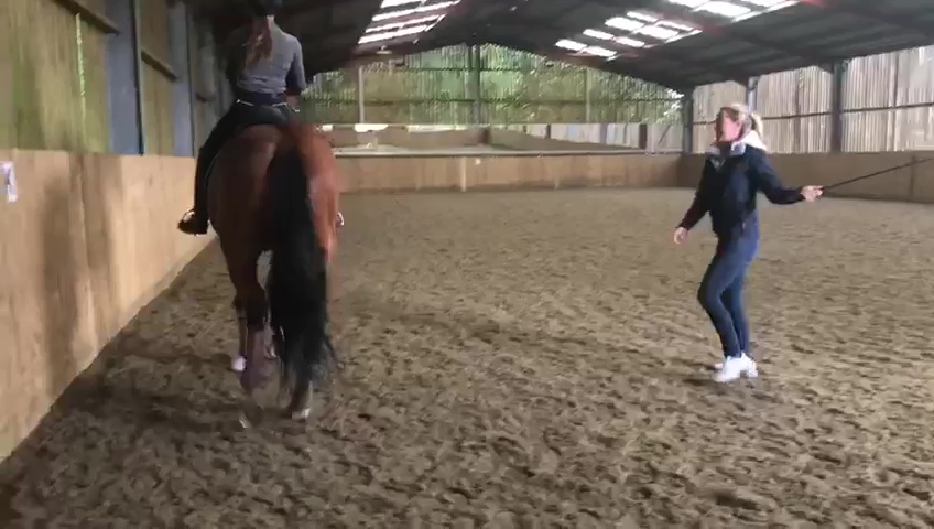 A whistleblower filmed Dujardin whipping a horse on the legs