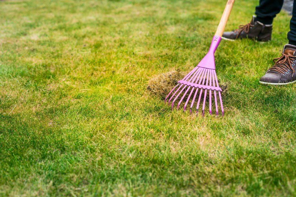 Summer is the perfect time to make sure your lawn is looking it's best