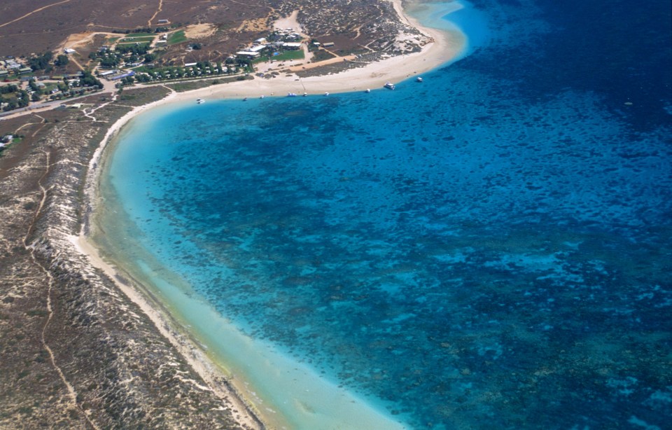 He was attacked off Coral Bay, near Fourteen Mile Beach in Western Australia