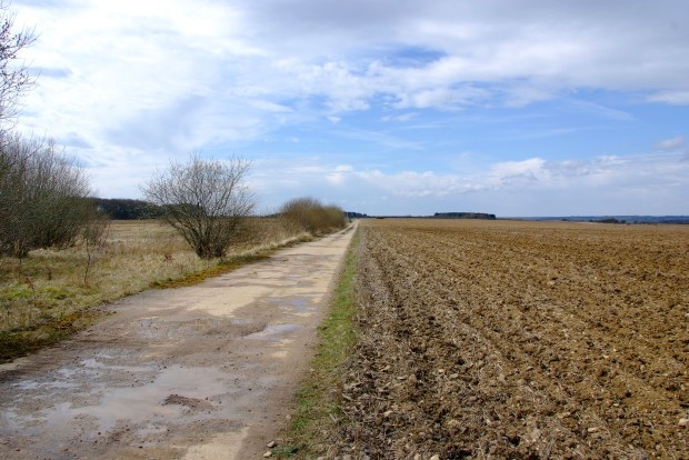 a dirt road going through a field on a cloudy day