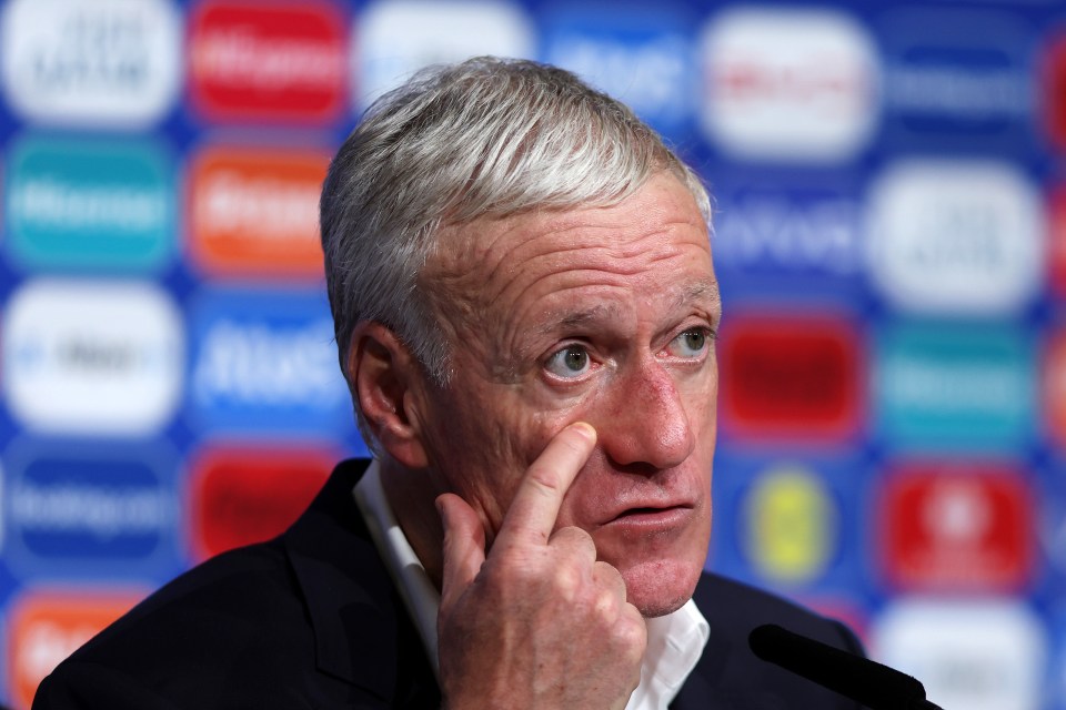 Didier Deschamps snapped at a journalist after his future was called into question