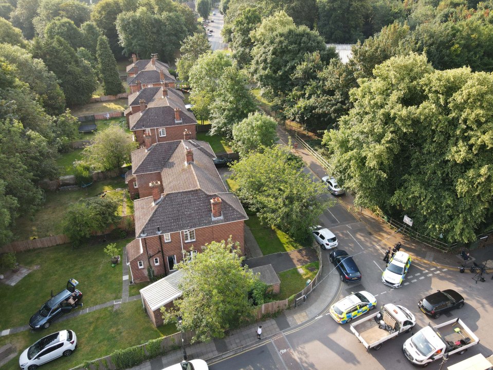 an aerial view of a residential area with cars parked on the side of the road