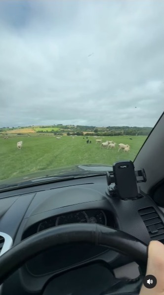 Better weather conditions meant that he could look after his friend's sheep