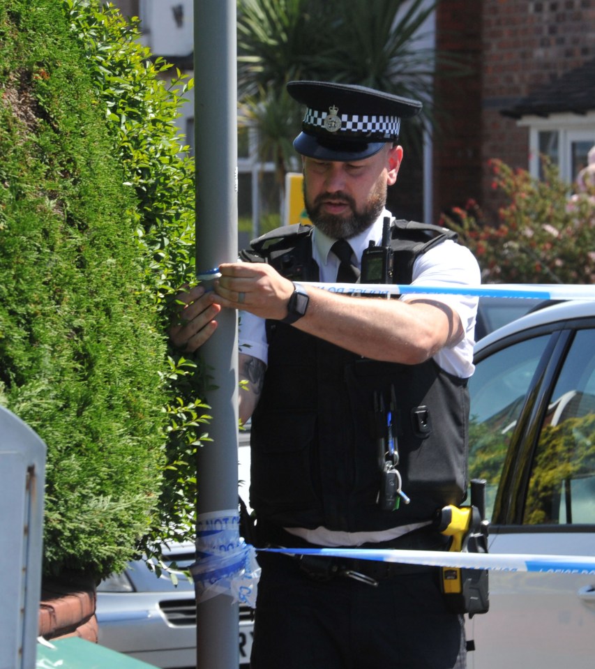 a police officer takes a picture of a tree with a cell phone