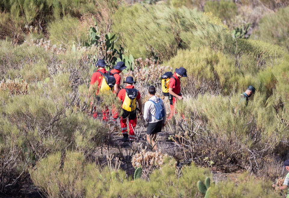 Emergency workers searched on foot for Jay