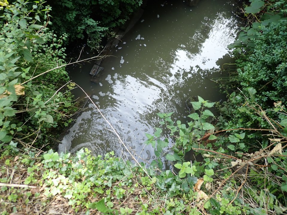 Water firms have been blasted after sewage spills hit a five-year high