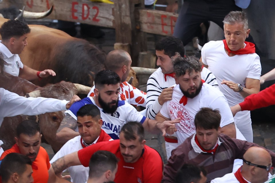 Daring thrill seekers were seen evading the beasts as they dashed in the narrow streets of Spain