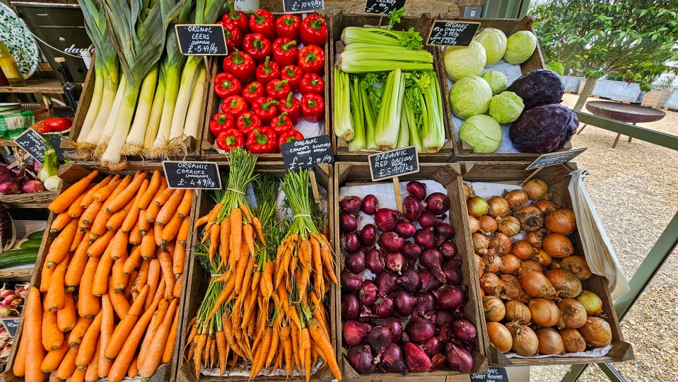 a display of vegetables including carrots celery and onions