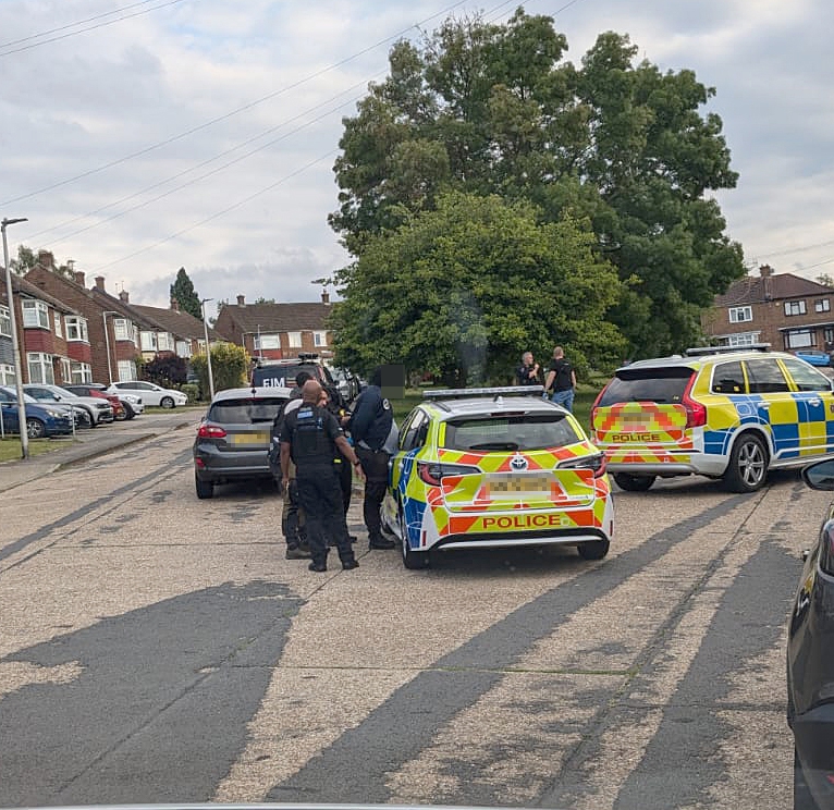 several police cars are parked on the side of the road