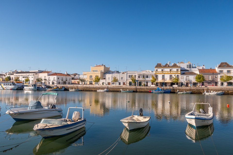 several boats are docked in a harbor and one of them has a green top