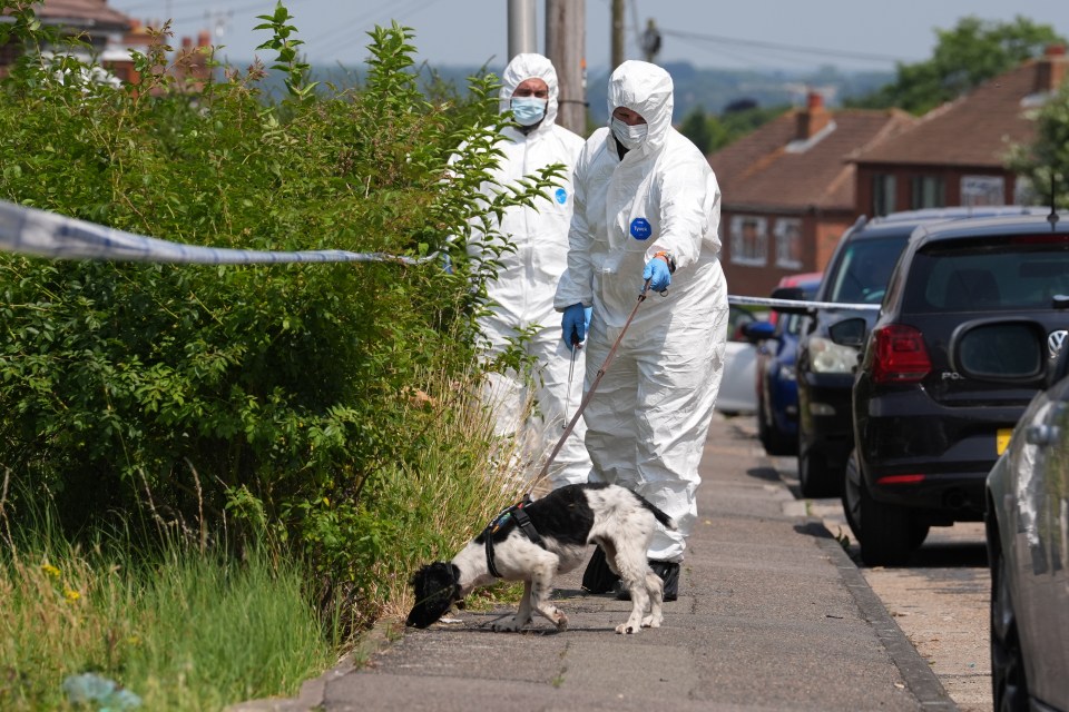 a man in a hazmat suit is walking a dog