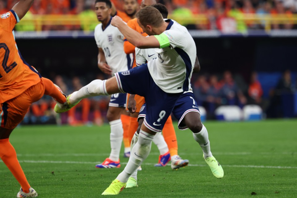 Harry Kane controversially won a penalty after being caught by Denzel Dumfries