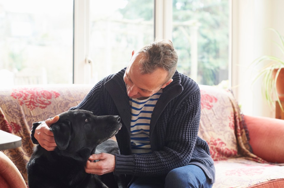 Pet owners are being warned against keeping their animals in conservatories during the hot weather