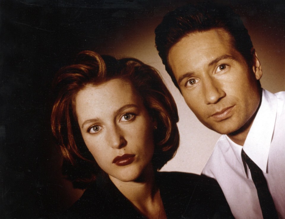 David Duchovny is known for starring on the X-Files alongside Gillian Anderson