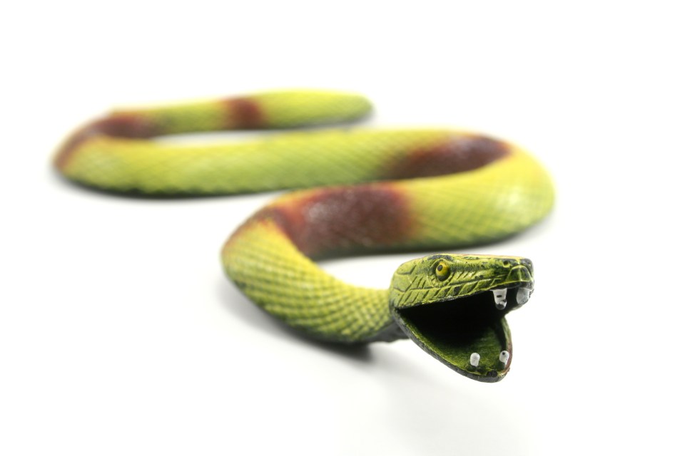 The poster also places rubber snakes in each of the potted plants throughout her garden (stock image)