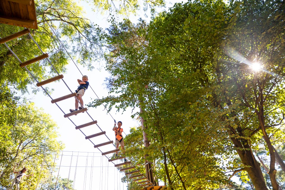 Go Ape high ropes and zipline courses are available on site