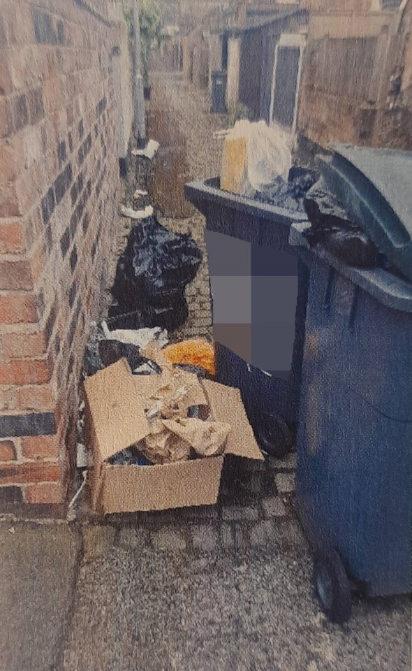 The couple tried to tidy up some of the rubbish and put it in a cardboard box