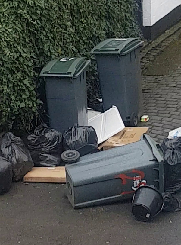 According to the couple, the waste attracted rats to their street