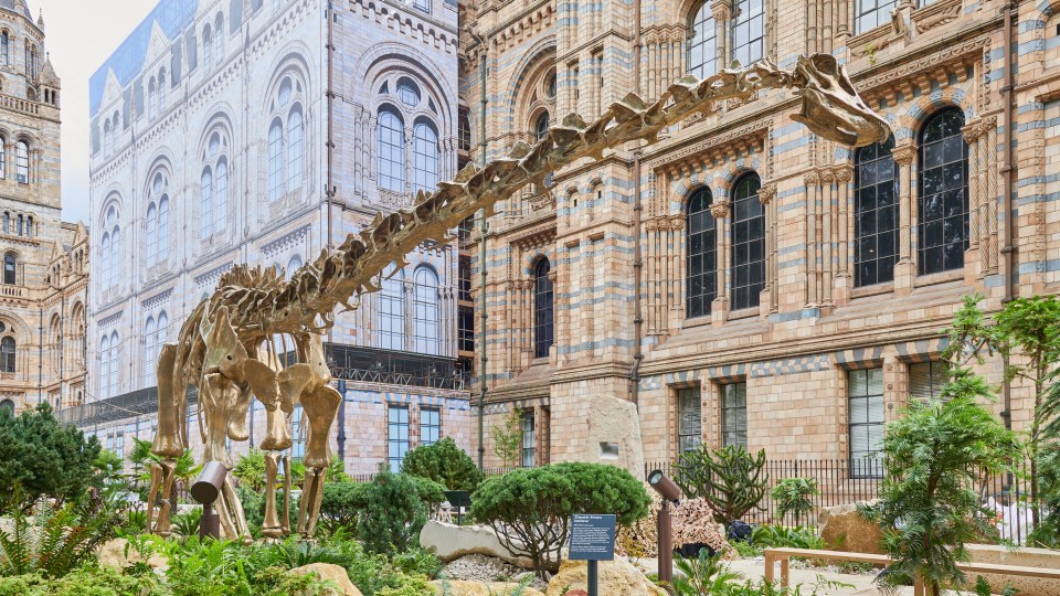 A huge bronze cast statue of Dippy will take centre stage in the new attraction