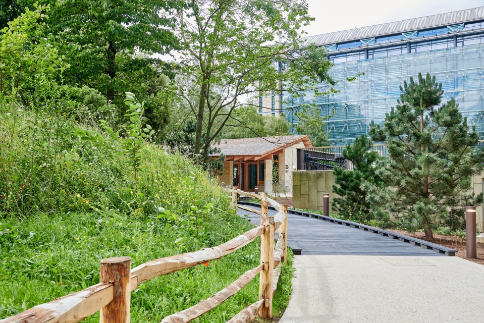 Visitors to the two new gardens will be taken on an immersive journey through billions of years of history