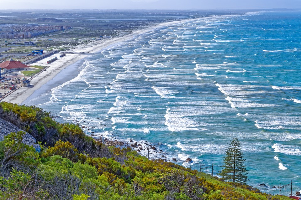 Muizenberg Beach in South Africa where some of the seal attacks have taken place