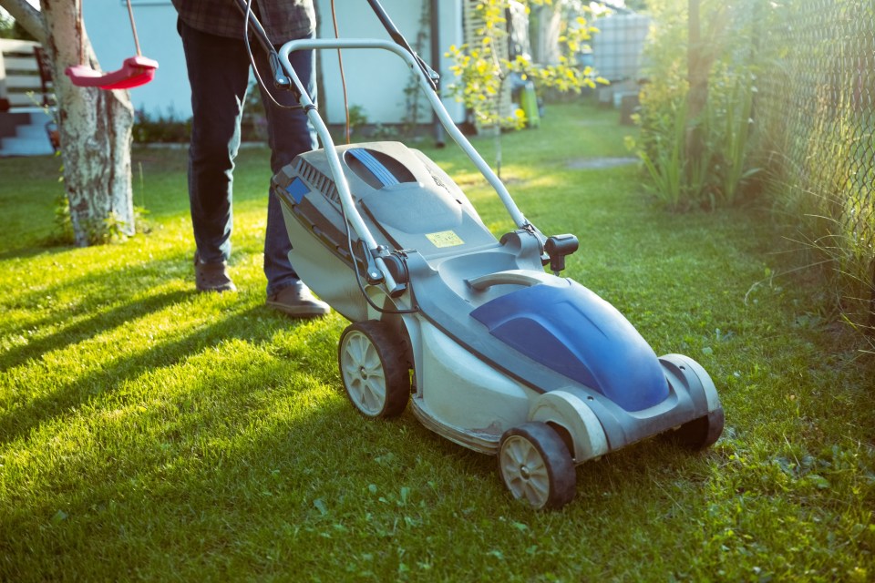 A gardening expert has revealed the major mistake that many people make, that is causing 'stress' to their lawn