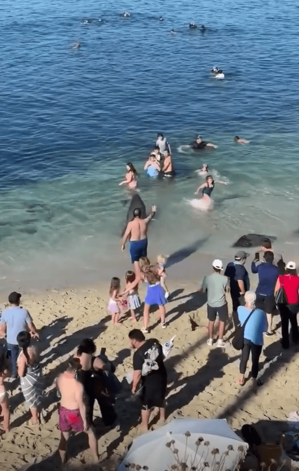 People were scared and descended onto the sand to watch the mayhem