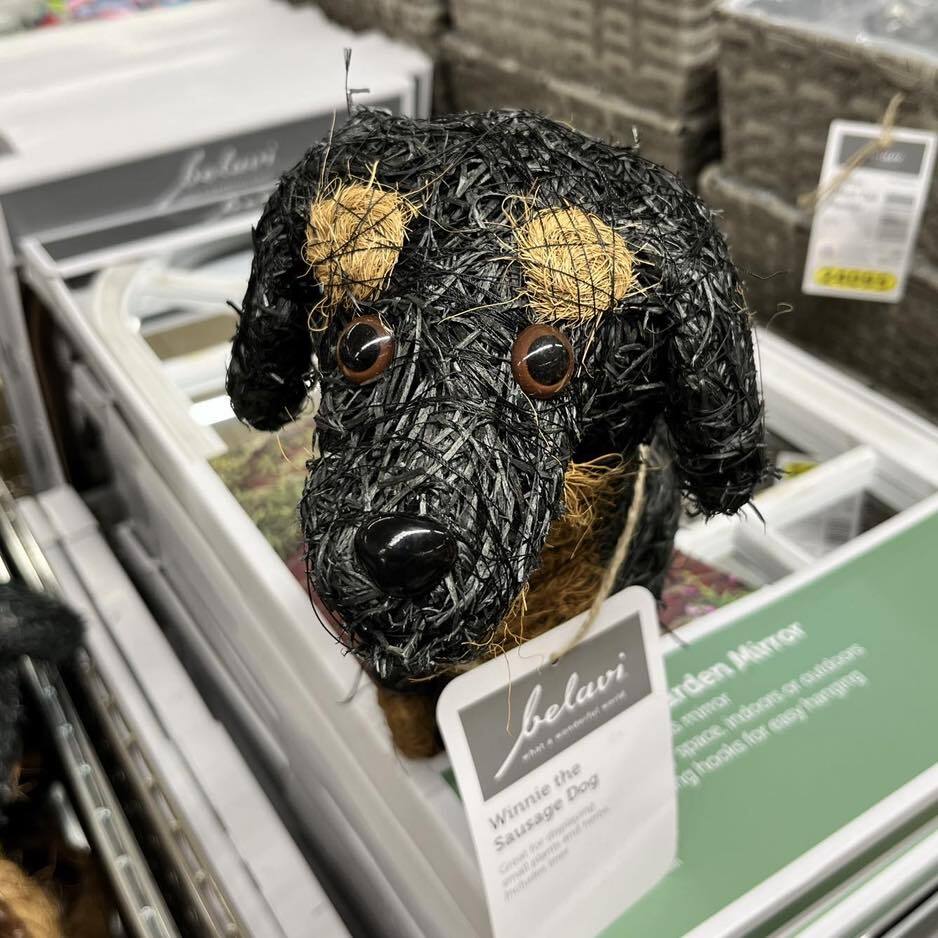 The adorable rattan effect dog planter is sure to add a unique element to your garden