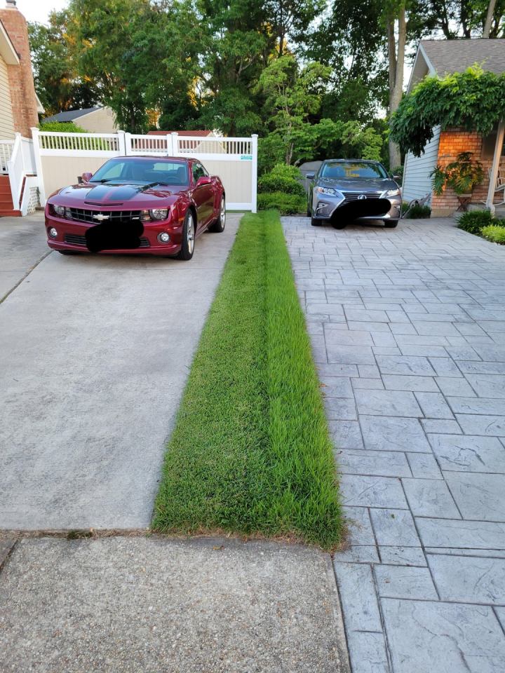 The homeowner was horrified when his neighbour only mowed half of their shared grass