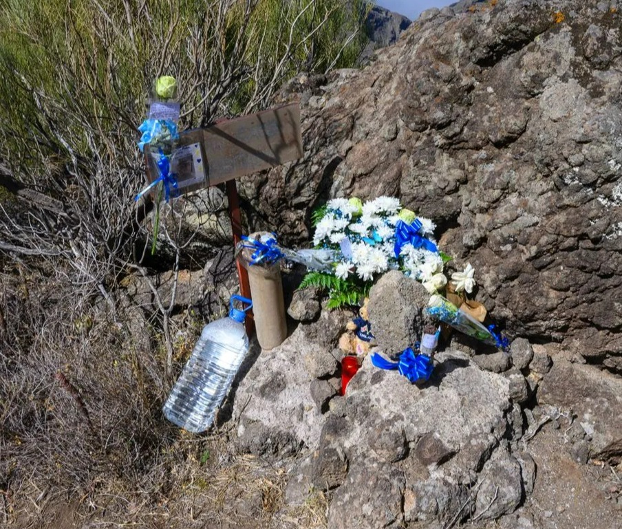 a bottle of water sits on a rock next to flowers