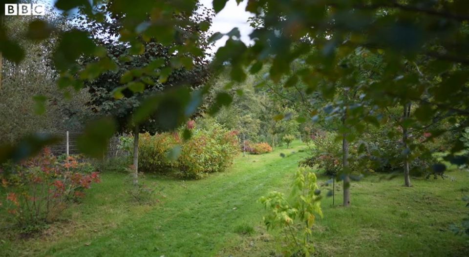 King Charles paid tribute to his eldest grandchild by planting a wood in his name in Scotland. Pictured is Prince George's Wood