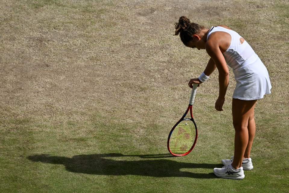 Paolini was unable to become first Italian Wimbledon champion