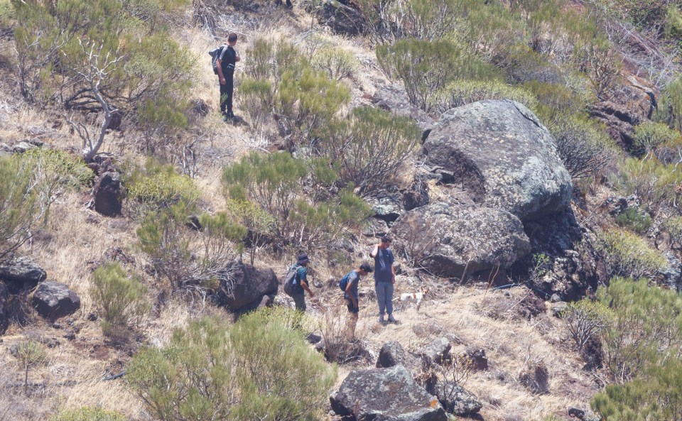 a group of people standing on a hill with a dog