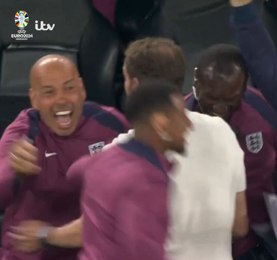 Jimmy Floyd Hasslebank got caught up in England's celebrations against Holland