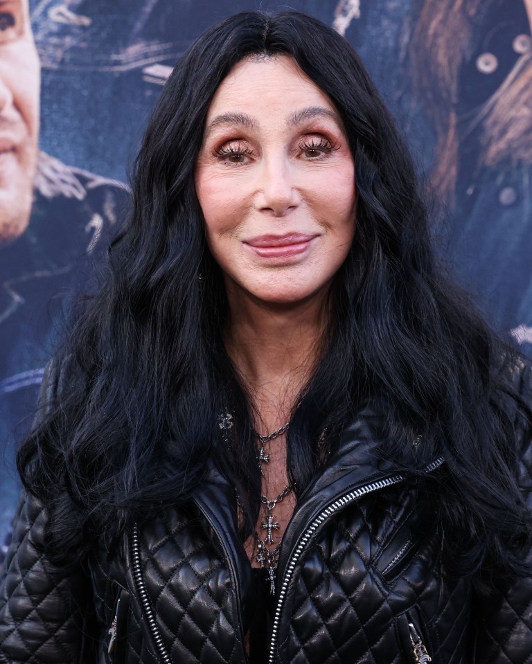 The streamer has enlisted music icon Cher to help share the news