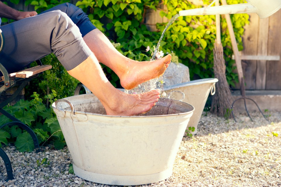 Take a cool bowl of water into the garden to dunk your trotters into