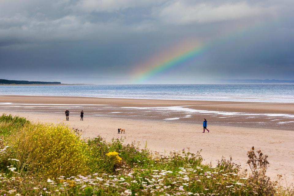 Known as Scotland's spiritual home, St Andrews has award-winning beaches and fabulous food