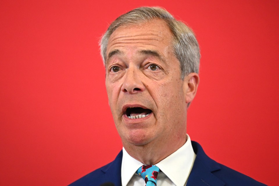 MP Nigel Farage thinks it’s time we had a referendum on the ECHR