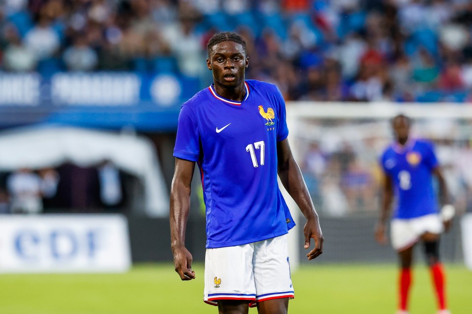 a soccer player wearing a blue jersey with the number 17 on it